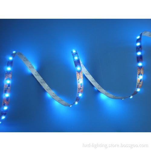 LED Strip (3528-B01)